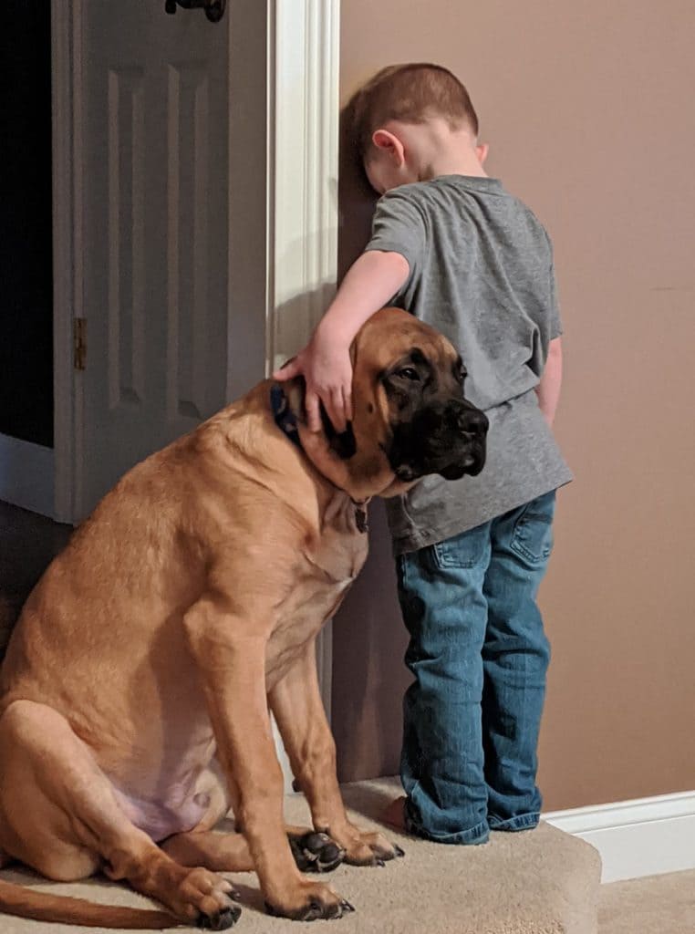 The dog went out to stand with his 3-year-old owner so he wouldn't feel lonely