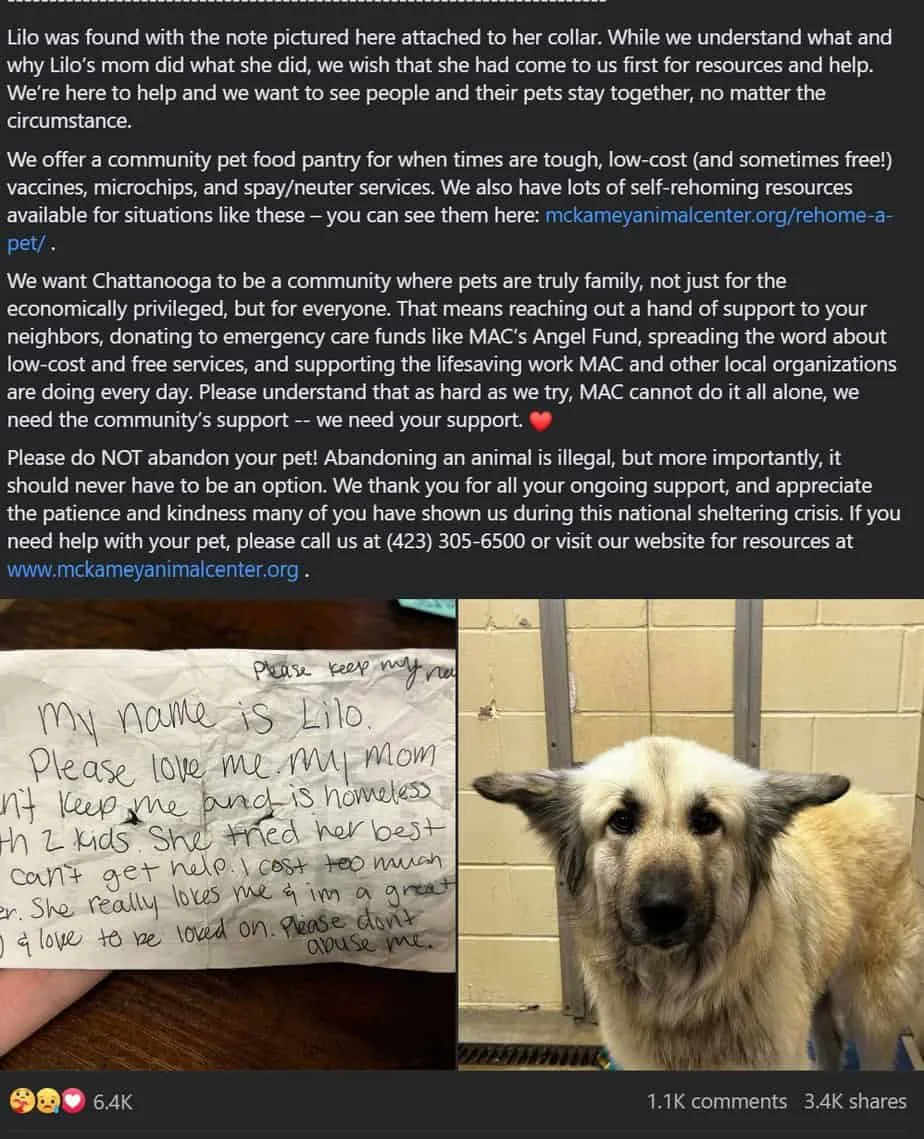 Adoption centers staff post with photos of Lilo and her letter